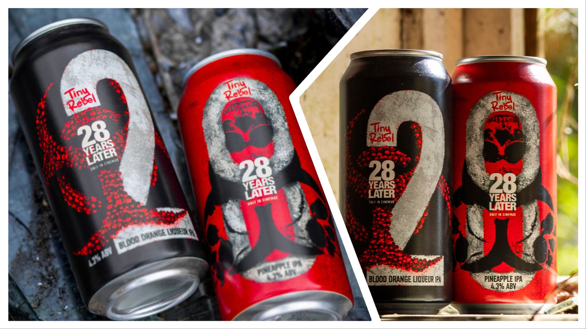 Cans of both the new beers from Tiny Rebel