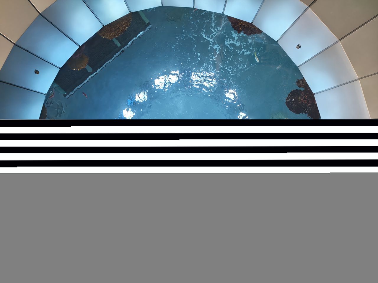 Razr Fold camera samples