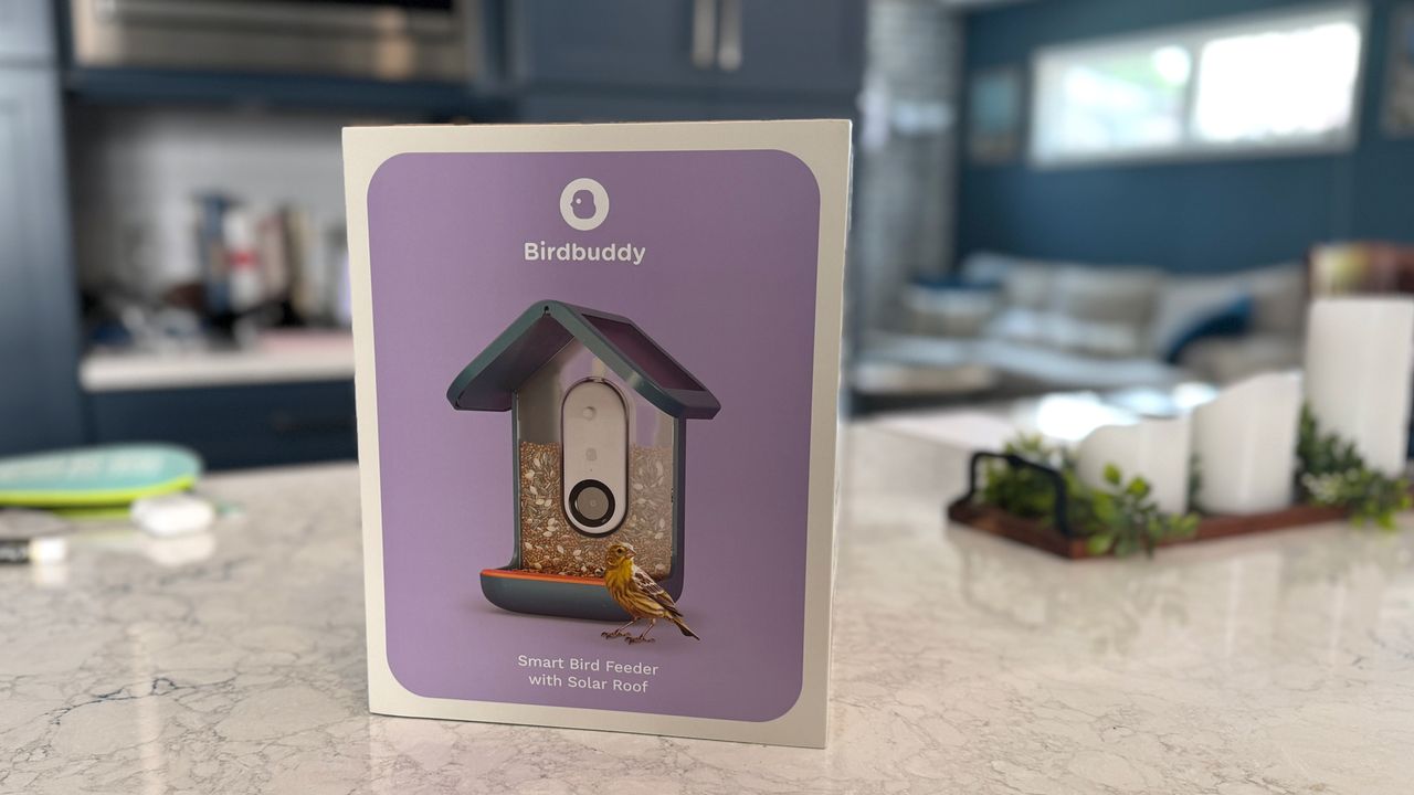 Birdbuddy experiential