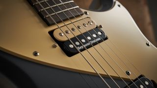 Close up of passive Seymour Duncan guitar pickup