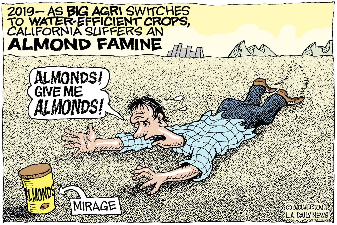 Editorial cartoon California drought