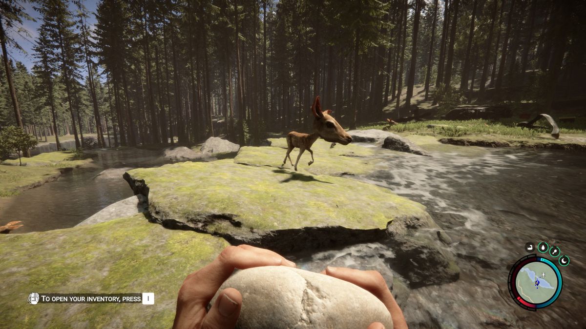 Sons of the Forest