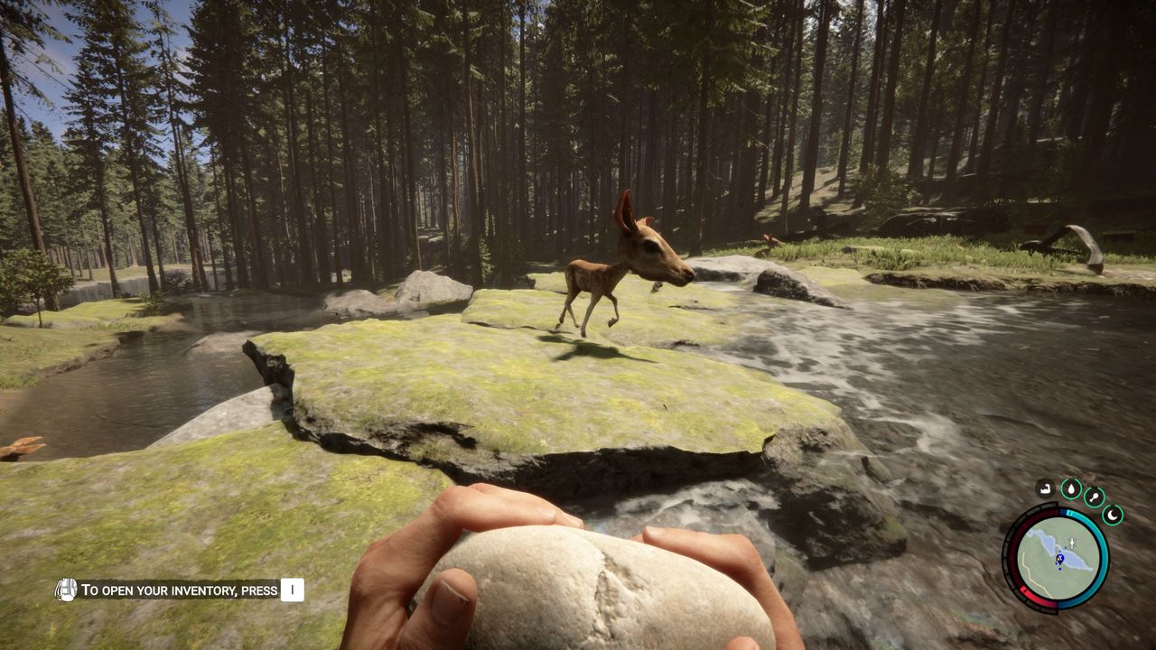 Sons of the Forest