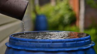 A pipe dripping water into a full rain barrel