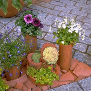garden area with flower pots