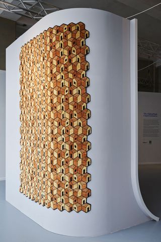 Honeycombs on the wall