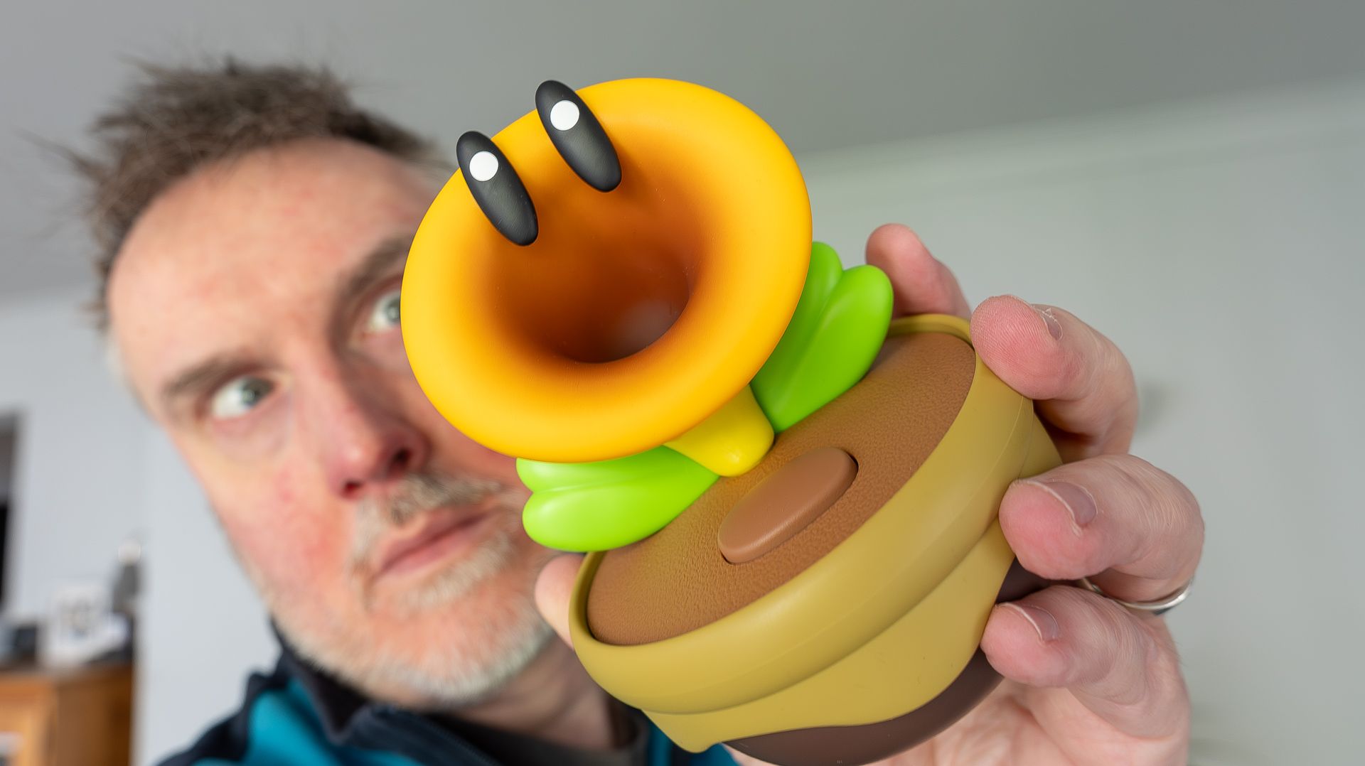 I couldn't wait to buy the Nintendo Talking Flower – now it's just driving me nuts