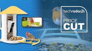 Netvue Birdfy bird feeder camera on a blue deal spotlight background
