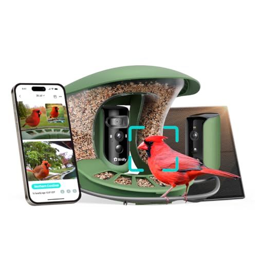 Dual-cam, Triple-lens Smart Feeder 