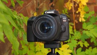 A Canon EOS 90D on a tripod in a garden