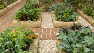 Rows of planting beds alongside each other in long garden