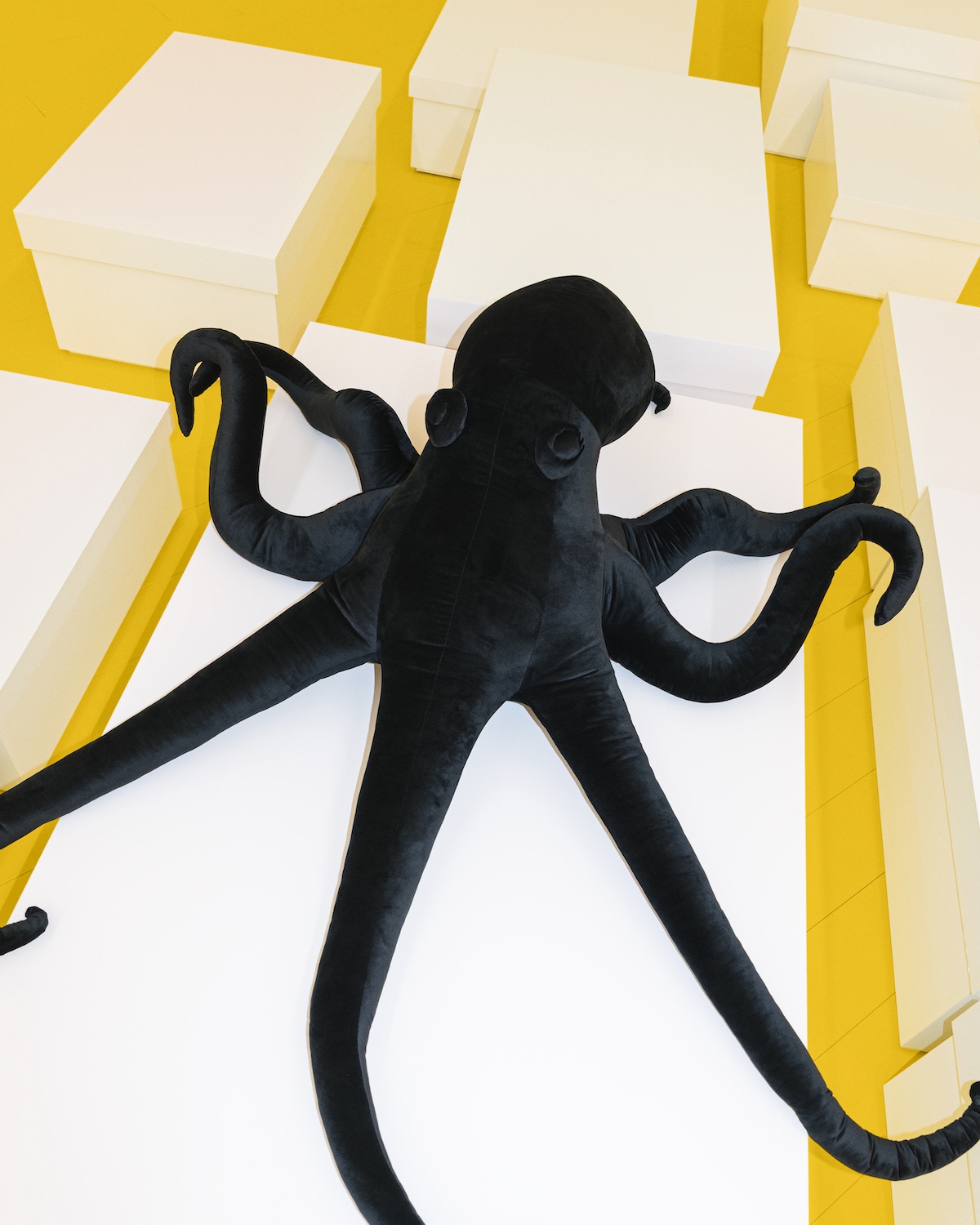 Loewe A/W 2026 runway show set