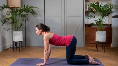 Woman performing the cat-cow yoga stretch arch
