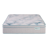 The Beauty Sleep 14.25 Ultra Plush Pillow Top mattress $699.99 at Beauty Sleep