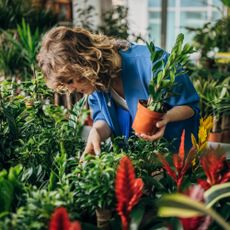 woman examining houseplants for sale in a store