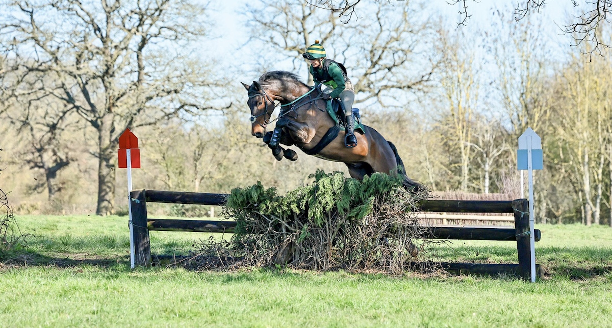 A bay horse and rider clearing a rustic upright