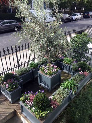 small front garden ideas: planters on paving designed by The London Gardener Ltd