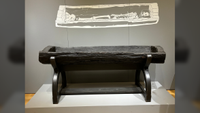 a log coffin sits on a stand in a museum with an illustration of the skeleton that was once contained in it projected on the wall behind it