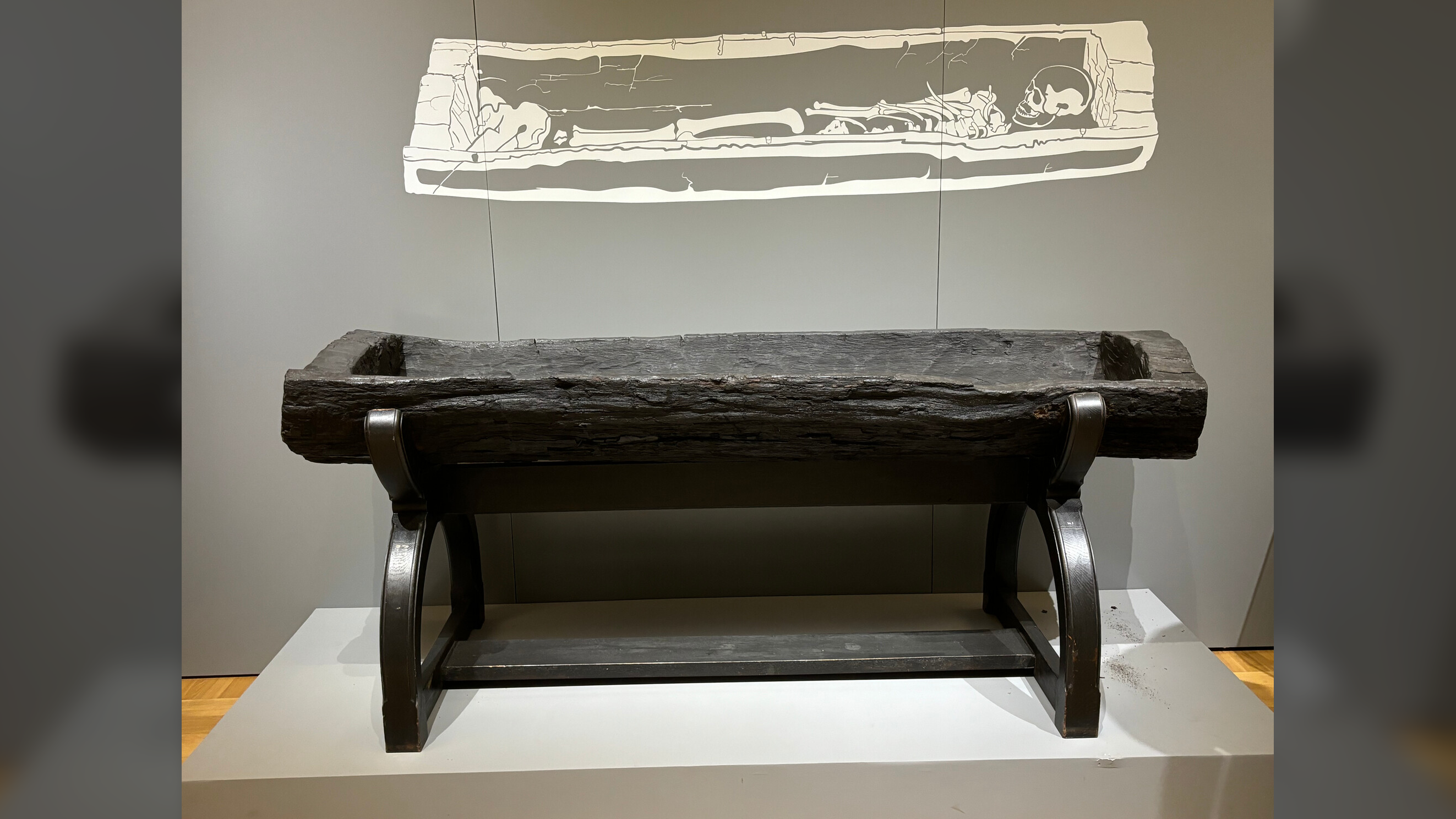 a log coffin sits on a stand in a museum with an illustration of the skeleton that was once contained in it projected on the wall behind it