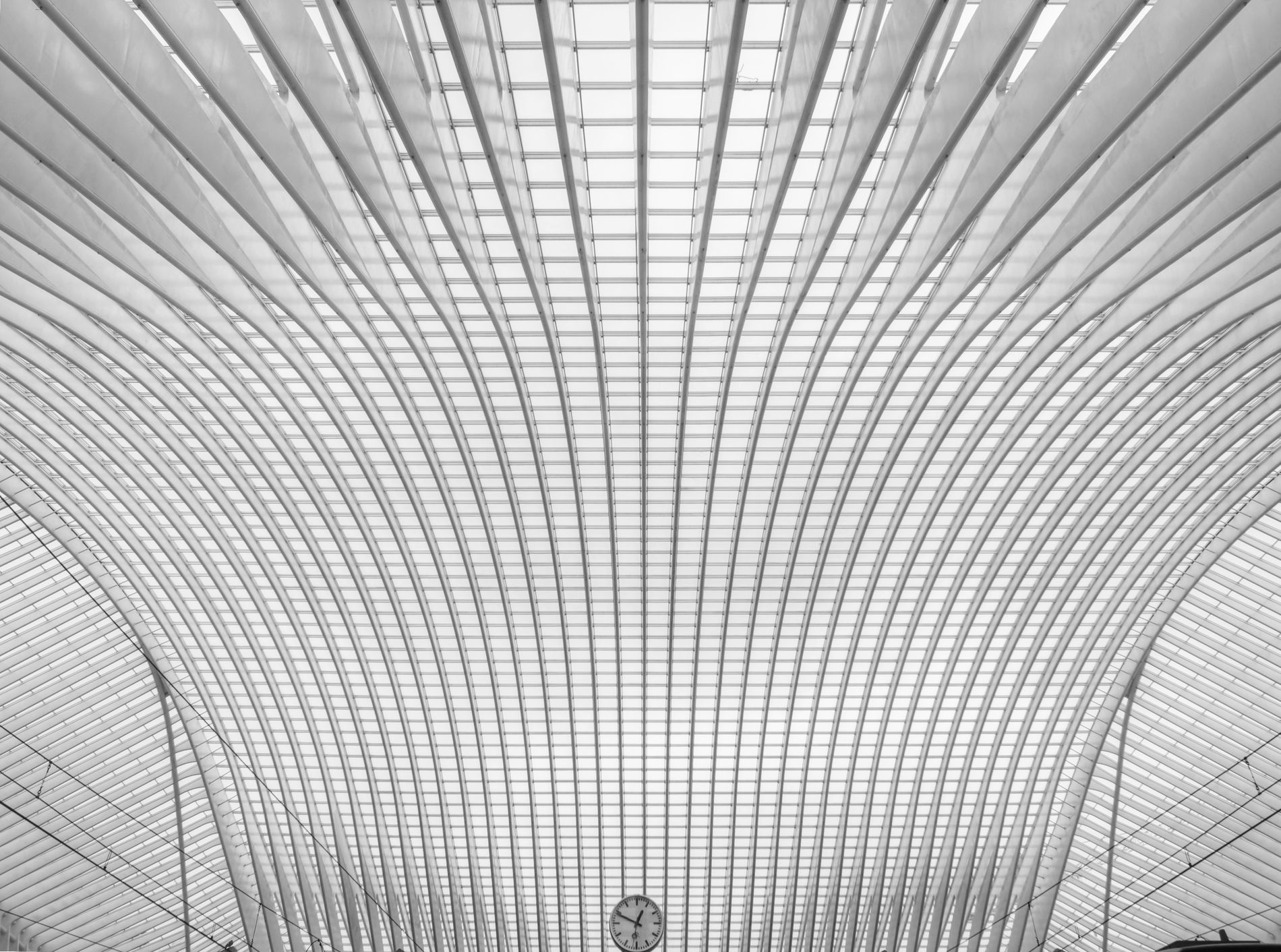 GuruShots - Mostly White October 2025