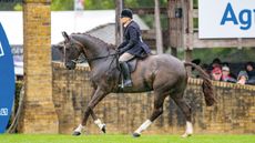 san_miguel_and_jane_collins_boots_hooves_all_rights.jpg