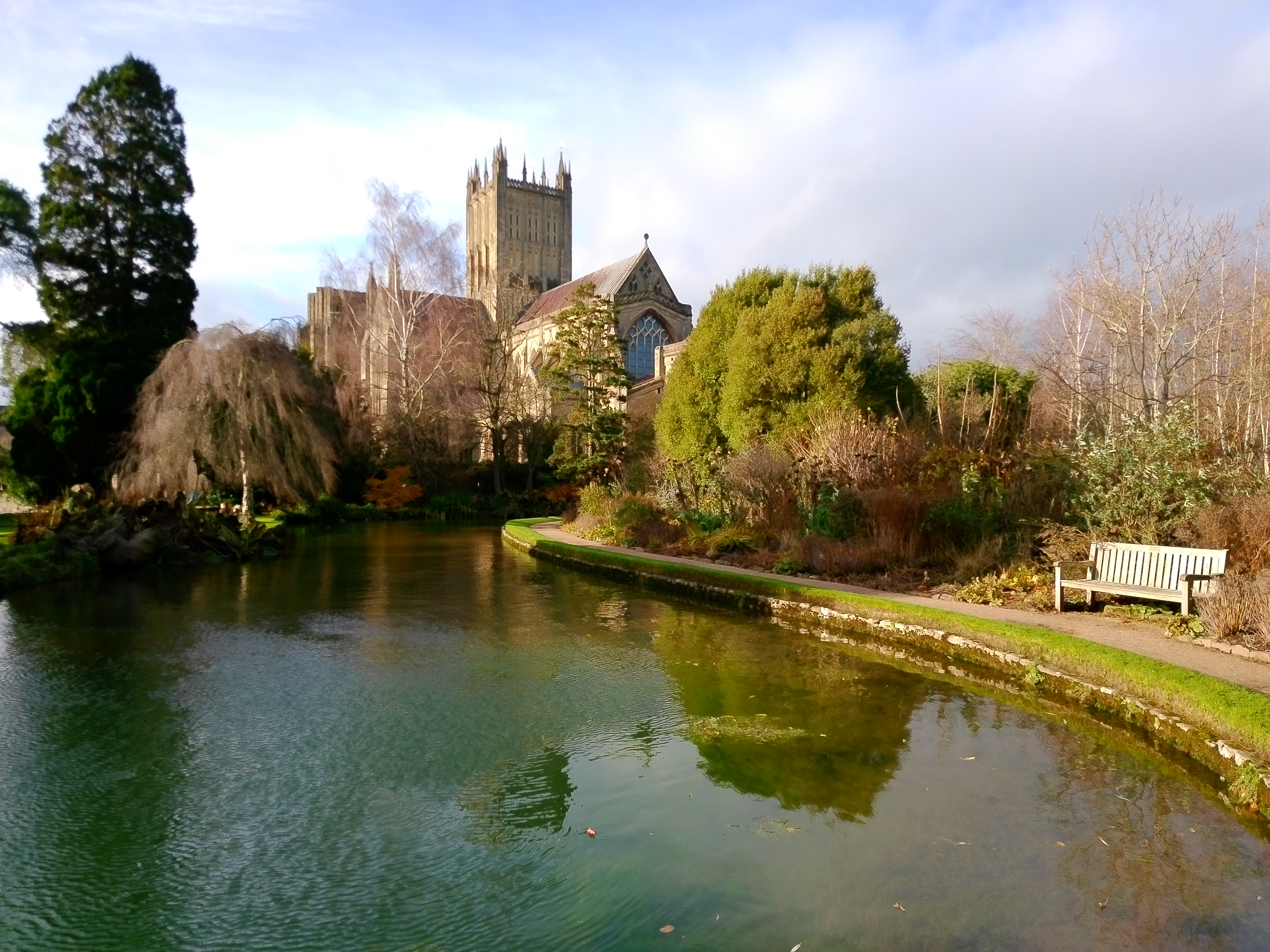 Yashica City 300 example shot