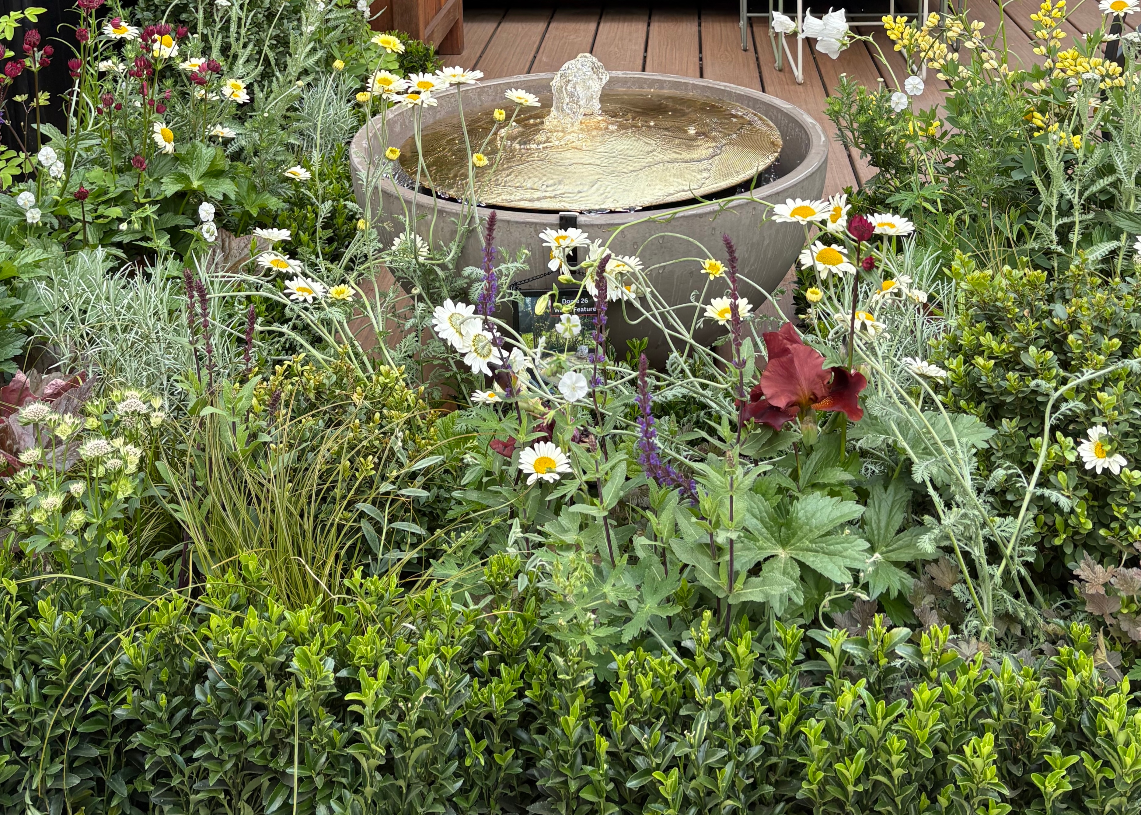 small, round water feature in a garden