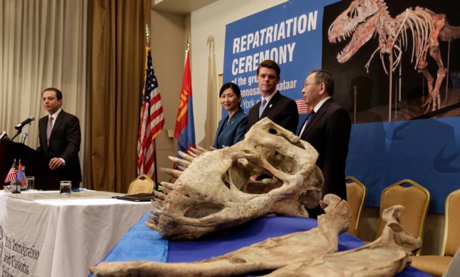The 70-million-year-old fossil of a Tyrannosaurus batter is returned to the Mongolian government on May 6.