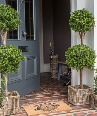 rattan planters with buxus spheres either side of a front door