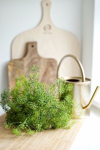 dill flowers on side with chopping boards and watering can