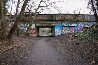 graffiti bridge shot on the canon rf 24mm f/1.8 is stm lens