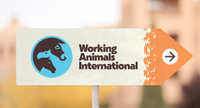 Working Animals International new branding
