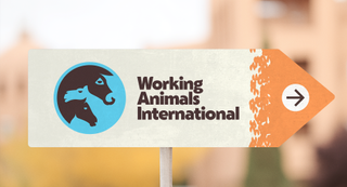 Working Animals International new branding