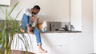 Man sitting on kitchen counter talking to his cat