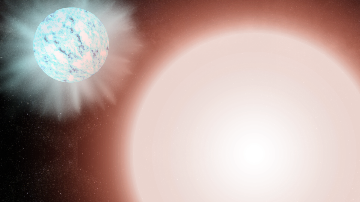 Illustration of a red white star in the foreground and a blue star in the background.