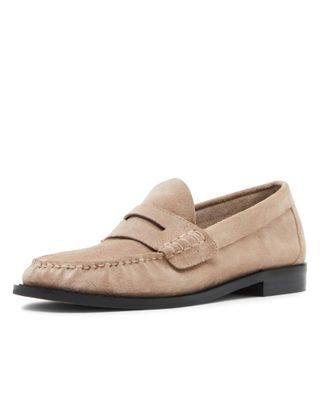 Steve Madden, Steve Madden Women's Kingston Loafer, Taupe Suede, 10