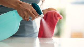 picture of woman spraying surface with cleaner