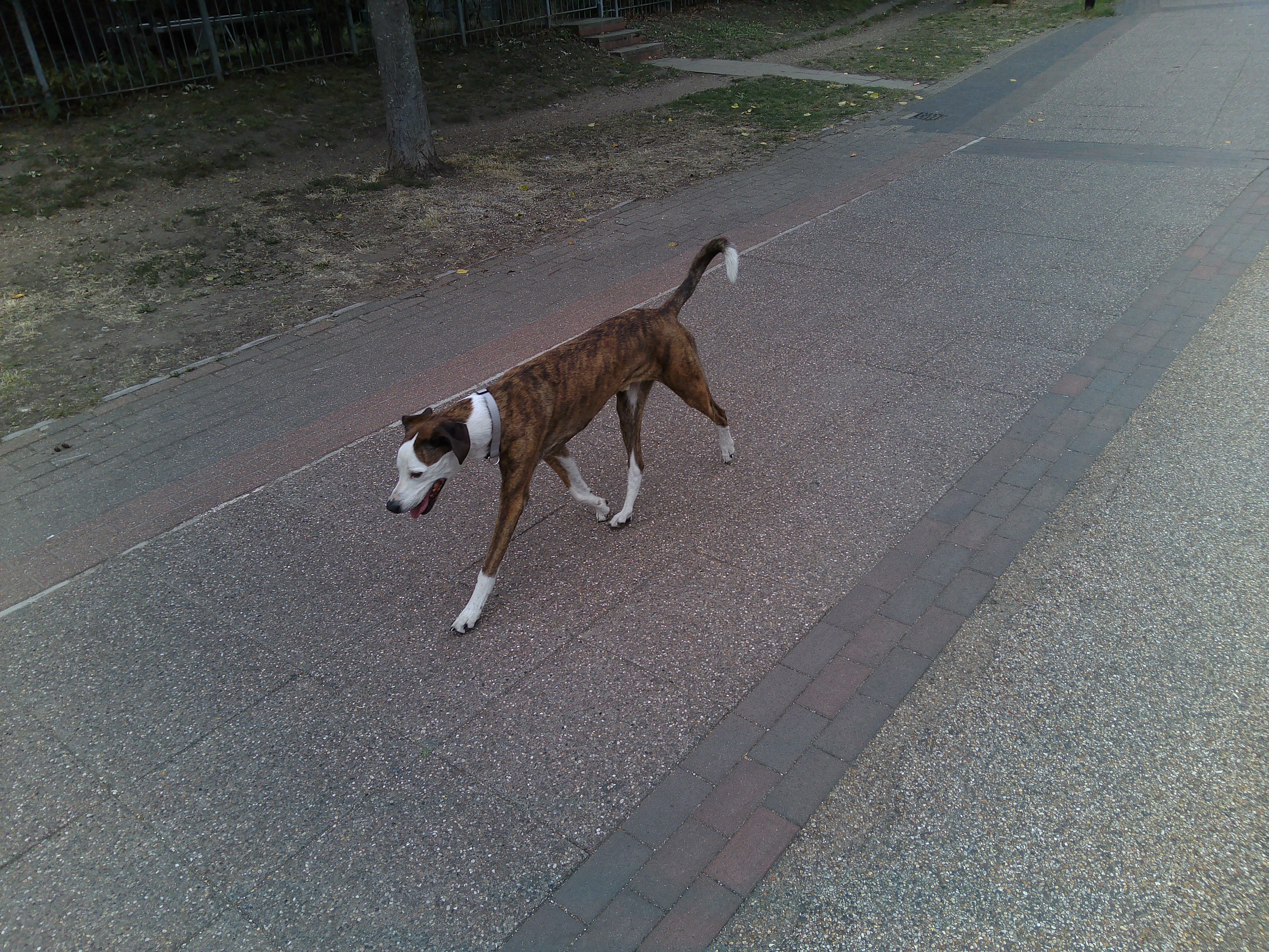 Sample image captured with iVue The Glide camera glasses