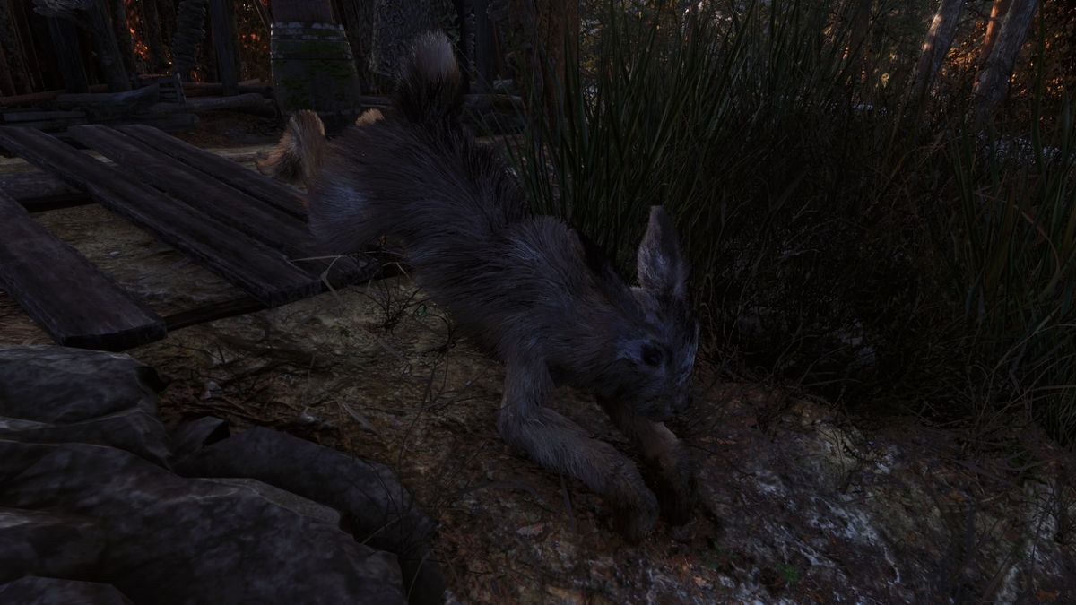 Bonus image: Good Rabbit Boy