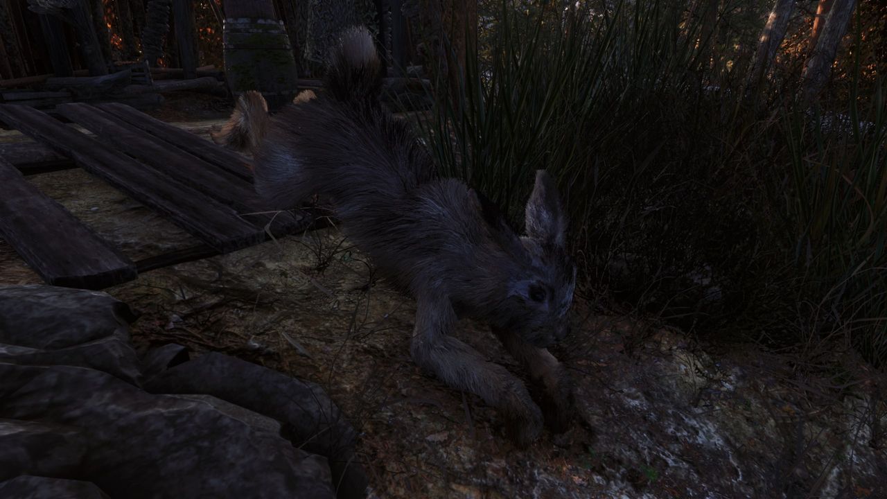 Bonus image: Good Rabbit Boy
