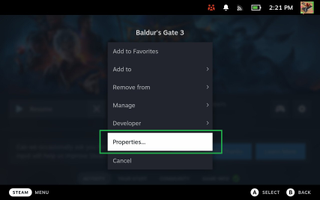 Baldur's Gate 3 on Steam Deck properties