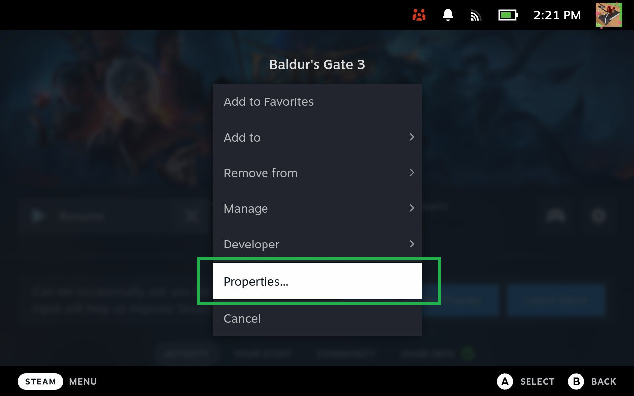 Baldur's Gate 3 в свойствах Steam Deck