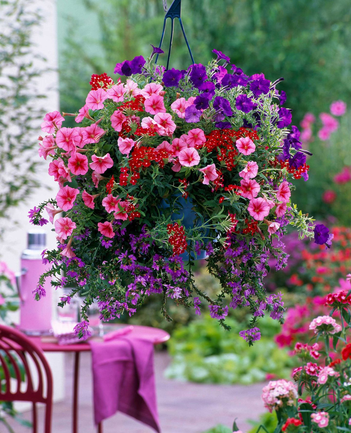 Best plants for hanging baskets 10 picks for stunning displays up high GardeningEtc