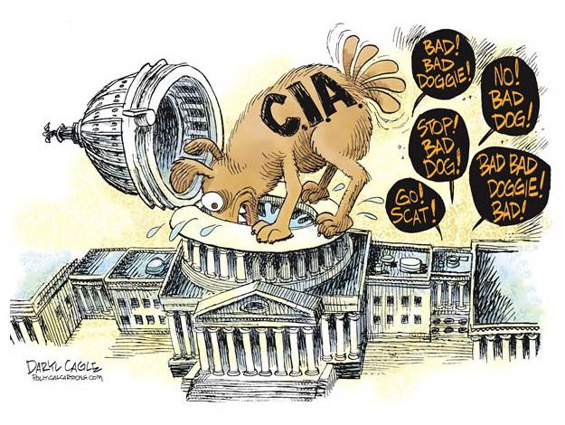 Political cartoon CIA NSA