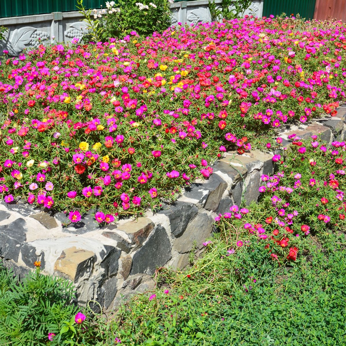 7 Best Raised Flower Bed Ideas For Longer Lasting Floral Color