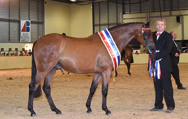 Equifest 2018