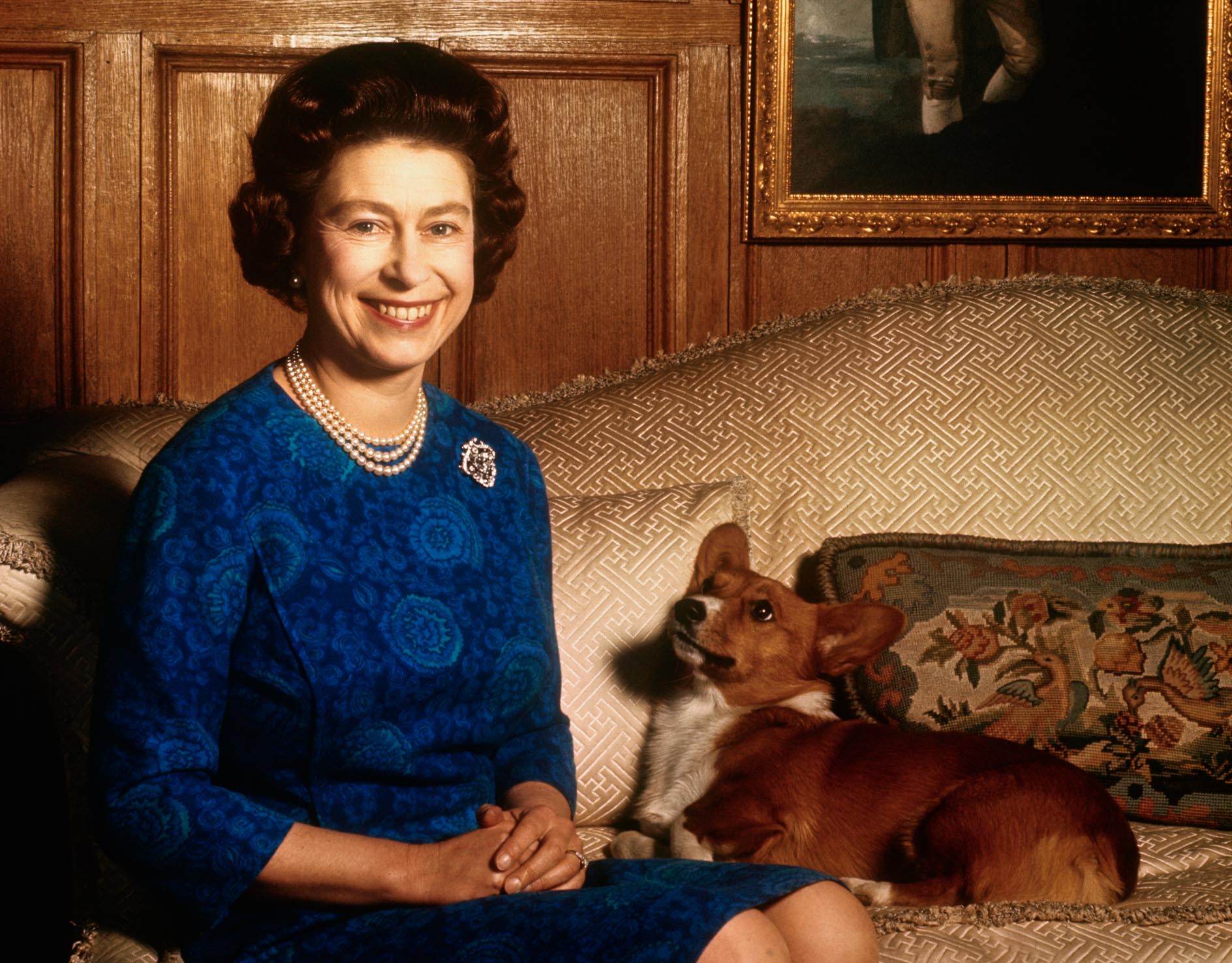 Sandringham, Norfolk. Queen Elizabeth II smiles radiantly during a picture-taking session in the salon at Sandringham House. Her pet dog looks up at her. Credit: Bettmann Archive / Getty