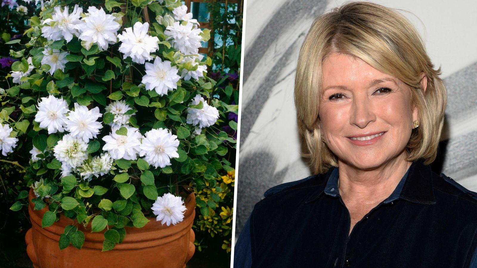 Martha Stewart just rebooted the 'moon garden' trend | Homes & Gardens