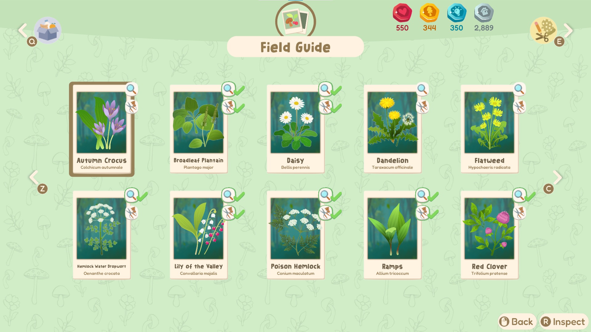 Out and About screenshot of a field guide which catalogues various plants that have been discovered