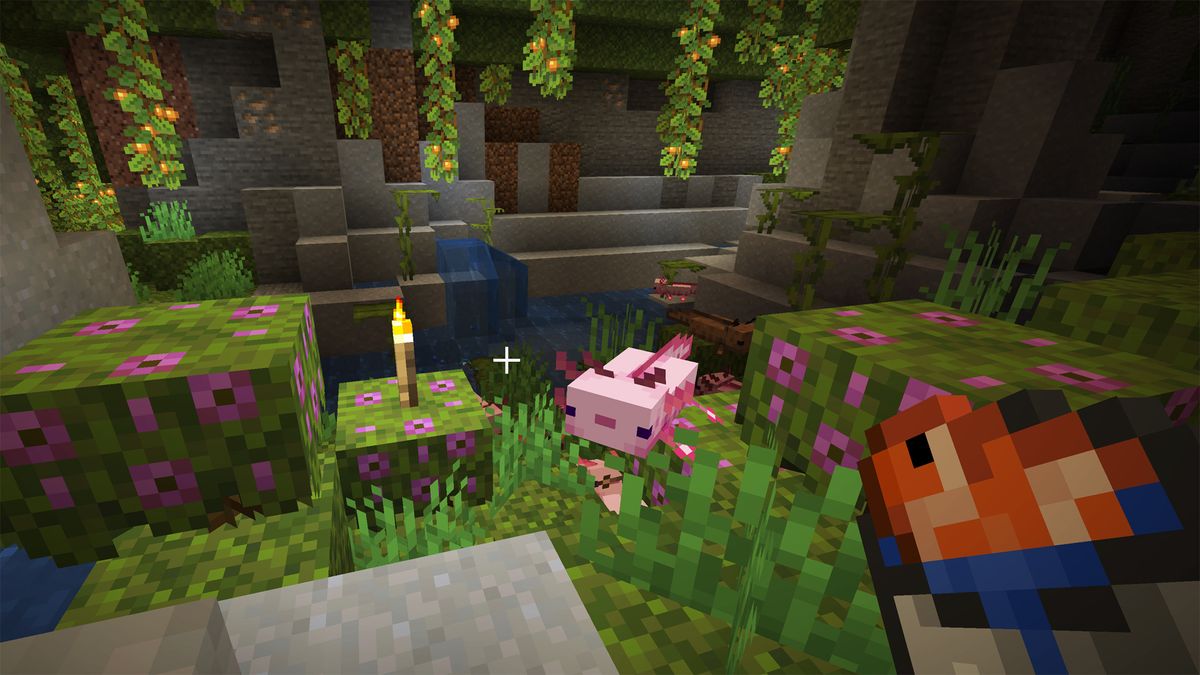 Minecraft axolotl and tropical fish